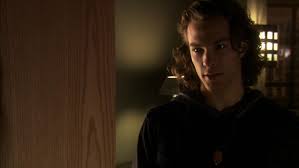 Television Graveyard, Plot 14~ Blood Ties | Nerdlush