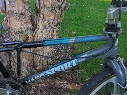 Image result for Bleu 1988 ARO