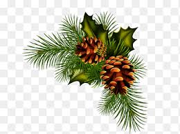 Pine cones can be used for a wide variety of crafts and decorating ideas. Pinecone Png Images Pngegg