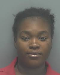 Fort Myers woman faces aggravated assault charges in alleged knifing