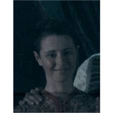 Árvore Genealógica