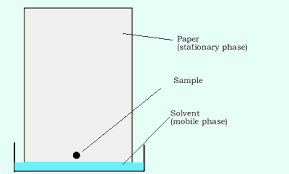Chemistry Instrumental Analysis Paper Chromatography