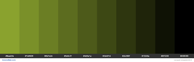 Pin On Colorswall