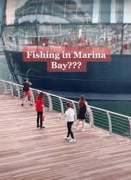 Police are searching for two men, one of whom was armed with a folding chair, in an attack caught on video at the venice beach boardwalk. Boy Seen Fishing At Marina Bay Sands Boardwalk Illegal Act Risks Up To 3 000 Fine