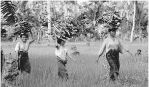 Tag your posts with #kreasikitchenaid #kitchenaidindonesia ! Culture Of Indonesia History People Traditions Women Beliefs Food Customs Family Social