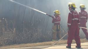 Parkland county has ended its fire restriction. It Came Quite Rapidly Crews Battle Brush Fire In Parkland County Ctv News