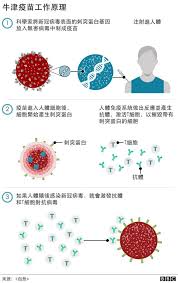 国际合作与交流中心 后勤保障处 离退休工作处 保卫处 基建处 西部现代职教研究院 西部产教融合研究院 西部创新创业研究院. ç‰›æ´¥ é˜¿æ–¯åˆ©åº·ç–«è‹—ä½ éœ€è¦äº†è§£çš„å¹¾å€‹å•é¡Œ Bbc News ä¸­æ–‡