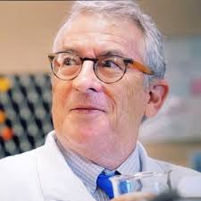 Queen bees live 20x longer