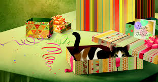 If you want to find the other picture or article about jacquie. Happy Birthday Feline Frolics E Card By Jacquie Lawson