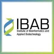 Institute of Bioinformatics and Applied Biotechnology logo