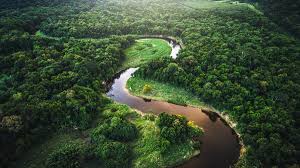 South america is home to a vast array of species endemic to the region. South America Rainforests Rivers And Waterfalls Bbc Bitesize