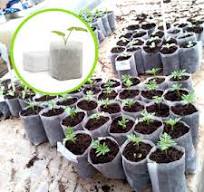 Biodegradable Seedling Bags - Eco-Friendly & Breathable