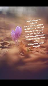 La multi ani mama mea draga!!! La Multi Ani Mami MÄƒdÄƒlina Andra Picu