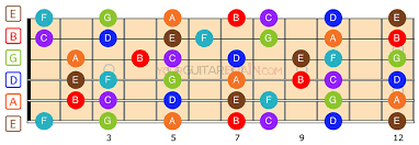 When learning guitar, i (and other tutors) will make reference to some of the terminology found on this page, so you. Guitar Fretboard Diagram 12 24 Fret Charts