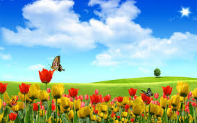 Field Of Flowers Hd Wallpaper Wallpapers Backgrounds Images Art Photos Desktop Wallpaper Summer Scenery Wallpaper Spring Wallpaper