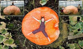 Image result for giant pumpkin