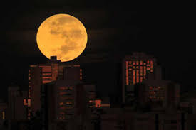 Every year we earthlings are graced with spectacular phenomena like eclipses and meteor showers. F1ppojxkjcupim