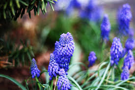 On the street of state highway 421 and street number is 2727. Tbn Photography Purple Purpose