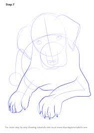 Signup for free weekly drawing tutorials. Learn How To Draw Doberman Puppy Dogs Step By Step Drawing Tutorials Puppy Drawing Easy Dog Drawing Tutorial Dog Drawing