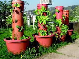 Mehr und mehr sogenannte vertikale wälder entstehen nach dem vorbild eines mailänder architekten. Vertikale Garten Lernen Mit Serlo