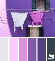The contrast between the two colors is what makes them stand out so much when combined. How To Use Purple In Your Design Projects Sessions College