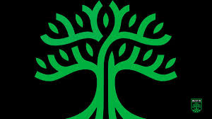 A virtual museum of sports logos, uniforms and historical items. Austin Fc On Twitter More Backgrounds To Verde Up Your Life Https T Co Gbwjhfrl2s