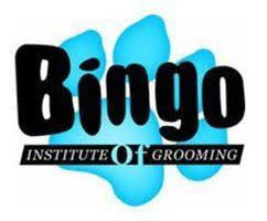 Maybe you would like to learn more about one of these? Learn The Fine Art Of Pet Grooming Bingo Institute Of Grooming