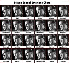 10 Expository Steven Seagal Emotion Chart
