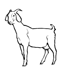 We did not find results for: Download Goat Coloring Pages For Kids Best Coloring Pages Goat Coloring Pages Animal Silhouette Animal Coloring Pages