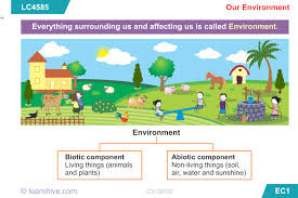 Some of the worksheets for this concept are picture composition for class, picture composition for icse class 10, picture composition work, picture composition for primary 3, picture composition for icse class 10, elite writing skills picture composition, elite writing skills picture. Learnhive Icse Grade 5 Science Our Environment Lessons Exercises And Practice Tests