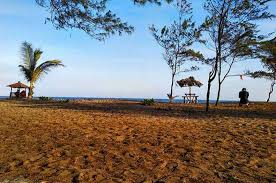 Pantai kebumen ini memiliki sebuah laguna loh sob, yaitu sebuah telaga payu berada di dekat lokasi pantai yang dipisahkan oleh hutan cemara udang. Pantai Bopong Harga Tiket Masuk Rute Lokasi Terbaru 2021
