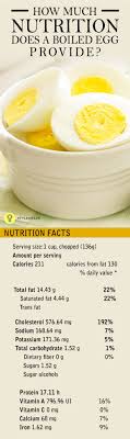 Egg Protein Chart How Many Proteins Does Egg Contain