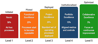 Guide to what is maturity value & its definition. Spi Research Service Maturity Ps Maturity