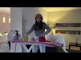 1 Cani Daha Gitti Hayvanin Youtube 2020 Hayvan Hayvanlar Hayvanlar Alemi