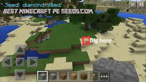 Best Diamond Seeds
