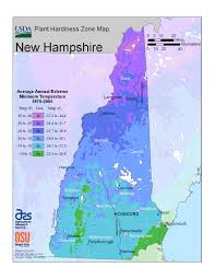 After planting, work loose soil into the area between the hole and the tree plug. State Maps Of Usda Plant Hardiness Zones