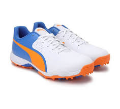 Image result for Puma 20