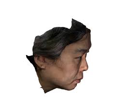 Automatic 3D Registration of Dental CBCT and Face Scan Data Using 2D  Projection Images