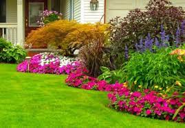 Plantes d'extérieur | commandez vos plantes pour le jardin. Comment Creer Et Entretenir Un Parterre De Fleurs