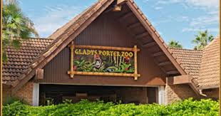 Mitte Cultural District Gladys Porter Zoo Brownsville Tx Brownsville South Padre Island Texas Travel Outdoors