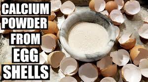 Super fun and quick, depending on how many eggshells you use. How To Make Eggshell Calcium Powder Supplement Youtube