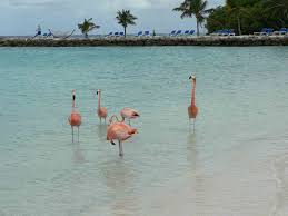 Check spelling or type a new query. One Happy Island The Expensive Cost Of Living In Aruba