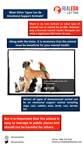 Types Of Animals As Esa And Their Benefits In 2020 Emotional Support Animal Emotional Support Dog Therapy Animals