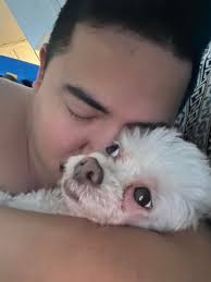 Update: my baby has been found, Denali is home