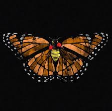 Float Like A Butterfly Sting Like A Bee перевод Boxing Butterfly Float Like A Butterfly Sting Like A Bee Butterfly