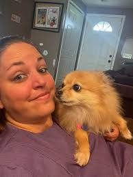 Last Minute Pet Grooming Appointments in Grand Blanc