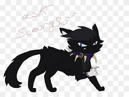 Scourge Warrior Cats Fan Art Kitten The Rise Of Scourge Warriors Cat Whiskers Kitten Mammal Animals Cat Like Mammal Png Pngwing pngwing