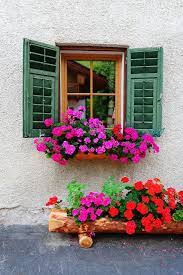 All of these flower background images and vectors have high resolution and can be used as banners, posters or wallpapers. 40 Window And Balcony Flower Box Ideas Photos Home Stratosphere