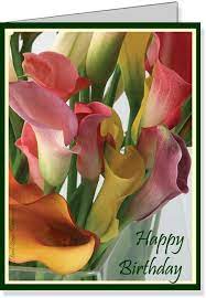 Happy Birthday 3 3 Calla Lily Flowers Lily Flower