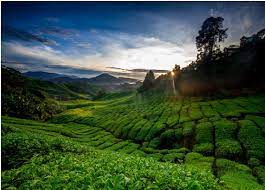 Climbing mount kinabalu through the mesilau trail will take roughly two days, and should be reserved for intermediate to advanced hikers. 8 Places To Visit In Malaysia In 3 Days Akbar Travels Blog